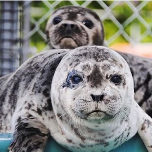 Meet your Posher, Aubrie